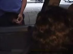 Grupo bdsm enano A m ...