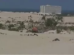 La esposa primero pi ...