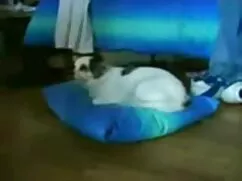 Marido pervertido az ...